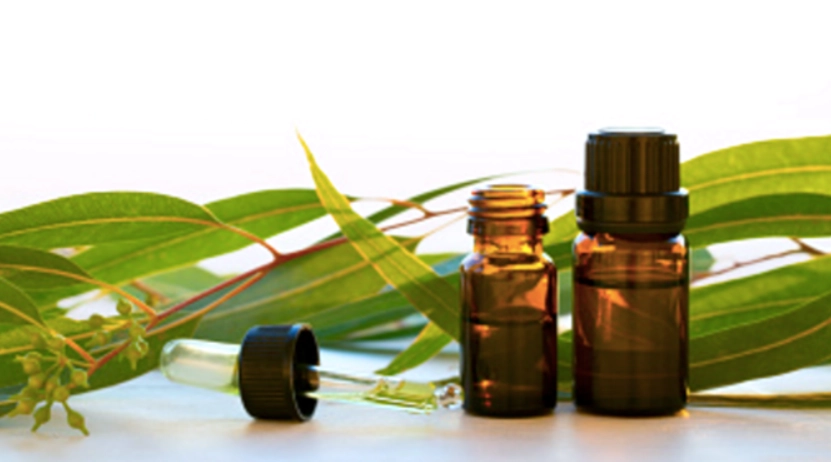 精油防蟲技巧 精油防蟲技巧