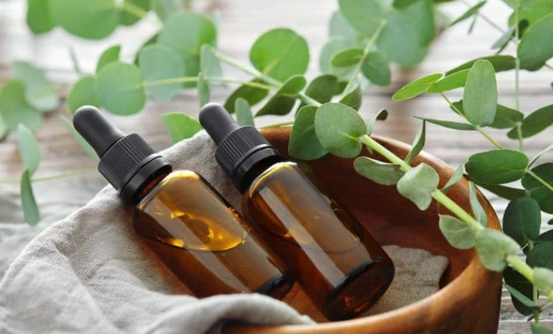 天然驅蟲方法 天然驅蟲方法