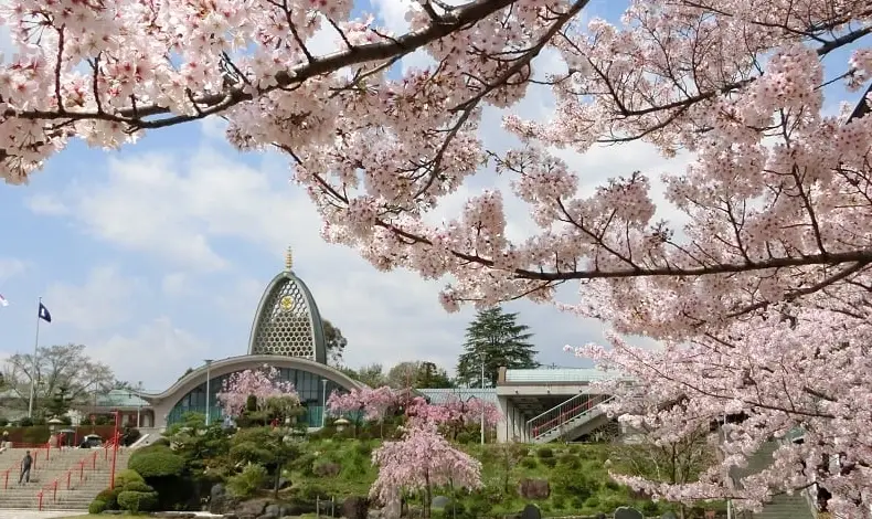 大阪賞櫻地點