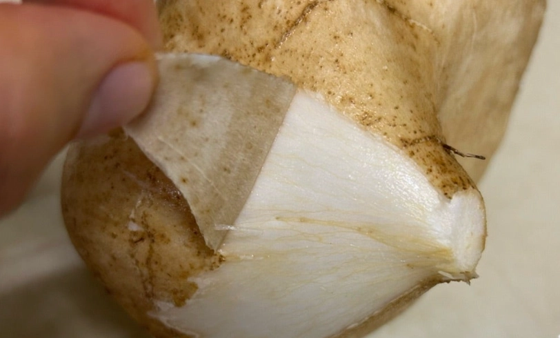 涼薯生食方法 涼薯生食方法
