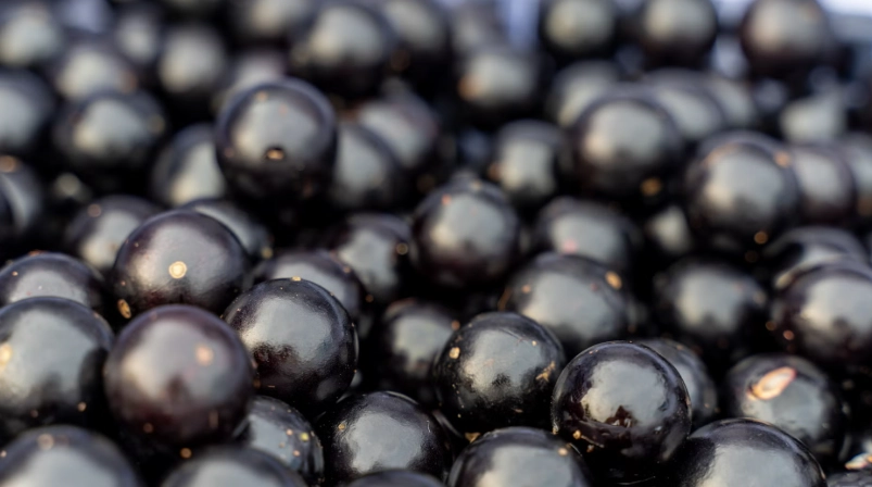 嘉寶果營養價值