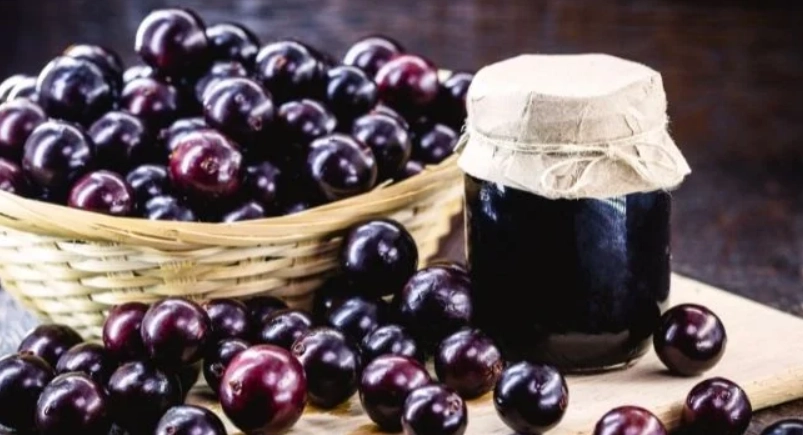 嘉寶果不能和什麼一起吃