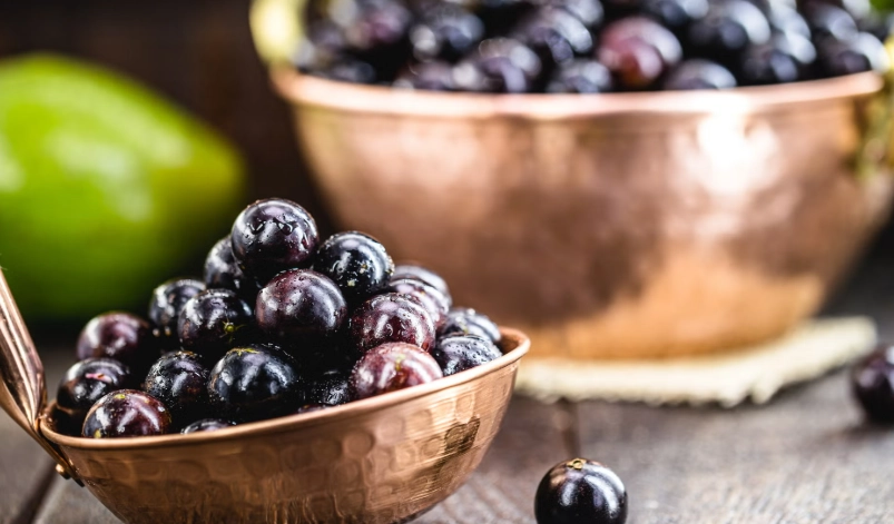 嘉寶果不能和什麼一起吃