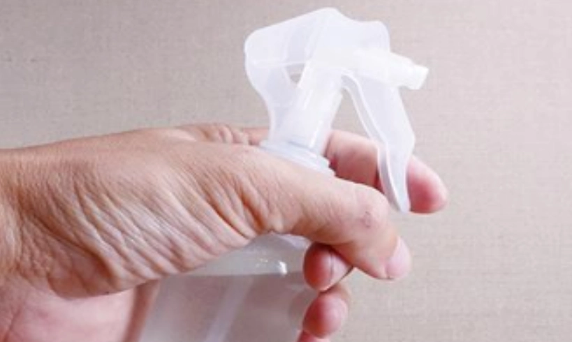 洗碗精殺蚜蟲 洗碗精殺蚜蟲