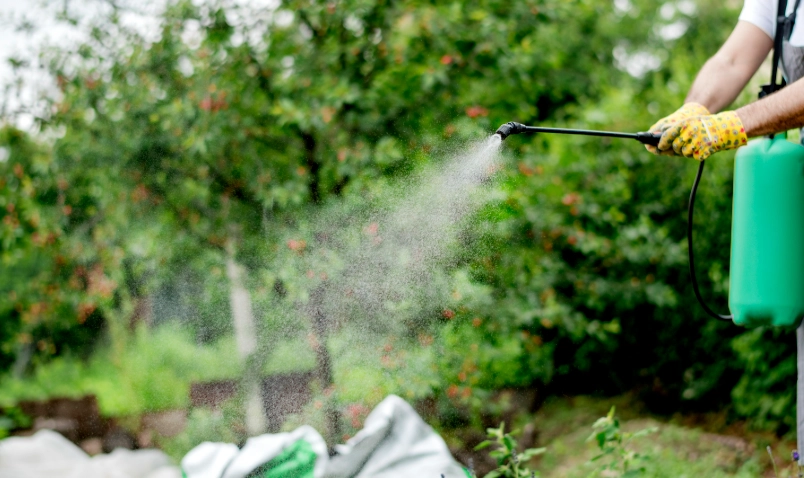 蚜蟲防治技巧 蚜蟲防治技巧