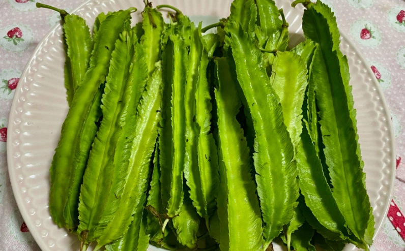 楊桃豆食用方法