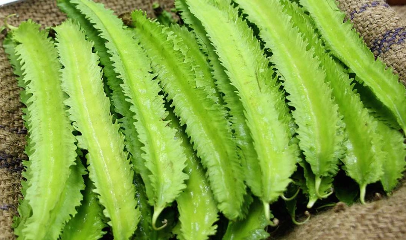 楊桃豆健康益處