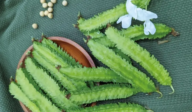 楊桃豆誰不能吃 楊桃豆誰不能吃