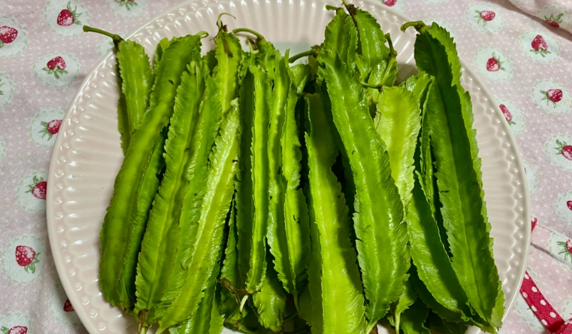 楊桃豆誰不能吃