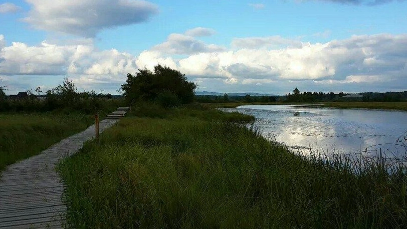 伊春旅遊交通 伊春旅遊交通