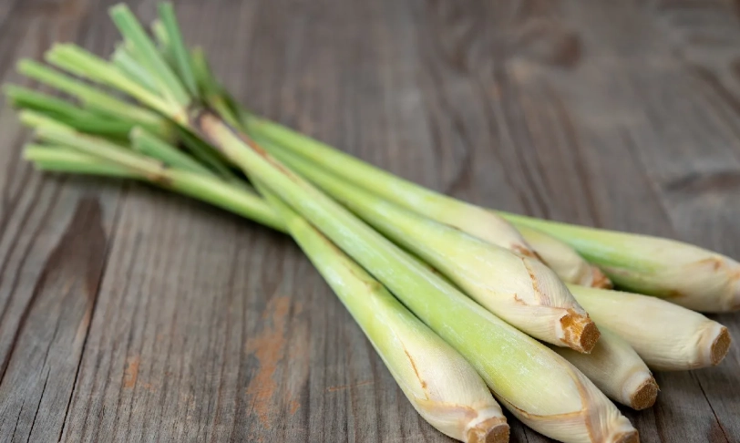 香茅茶好處 香茅茶好處