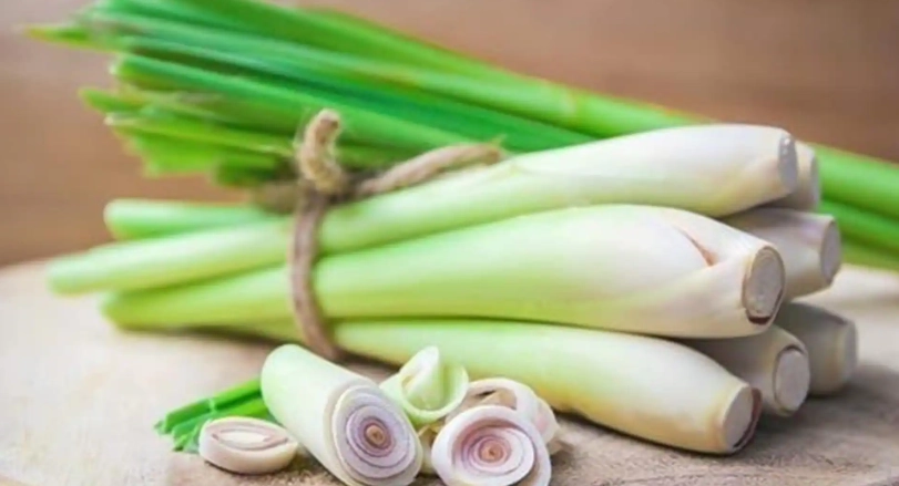 香茅茶好處 香茅茶好處