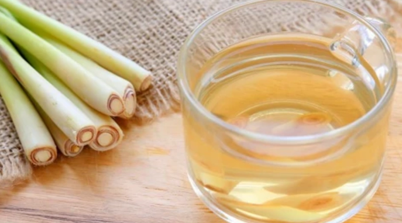 香茅茶功效 香茅茶功效