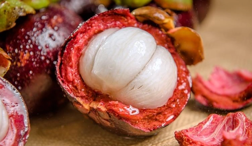 山竹營養 山竹營養