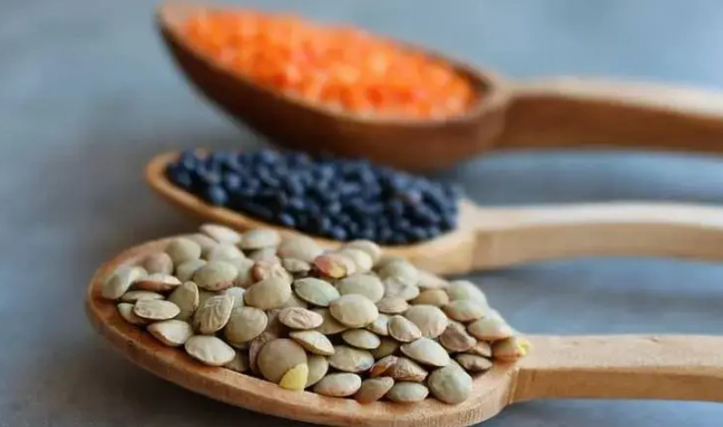 扁豆品種 扁豆品種