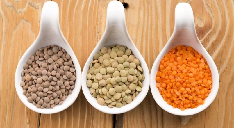 小扁豆副作用 小扁豆副作用