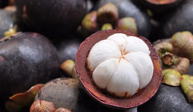 山竹營養 山竹營養