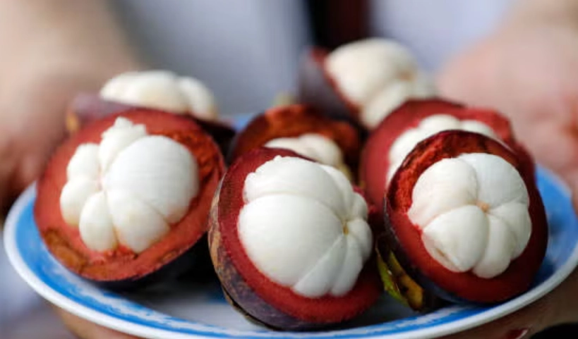 山竹外觀特徵 山竹外觀特徵