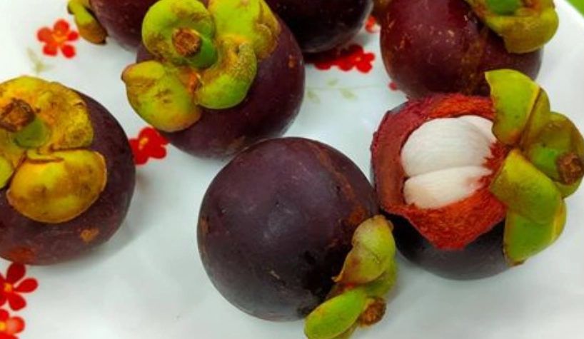 山竹哪裡買 山竹哪裡買