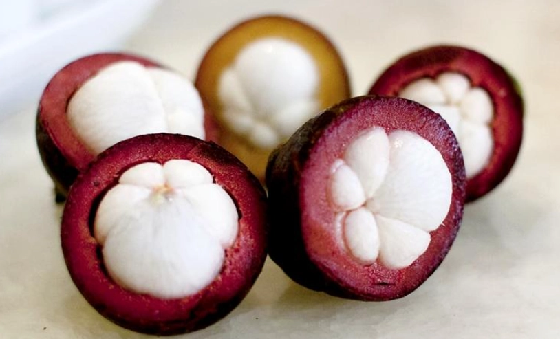 山竹營養 山竹營養