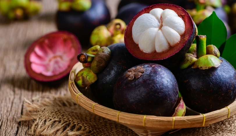 山竹外觀特徵 山竹外觀特徵