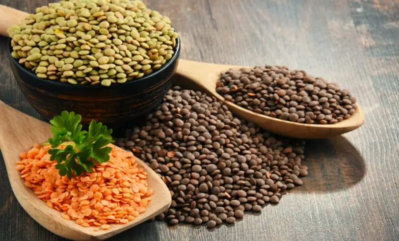 小扁豆副作用 小扁豆副作用