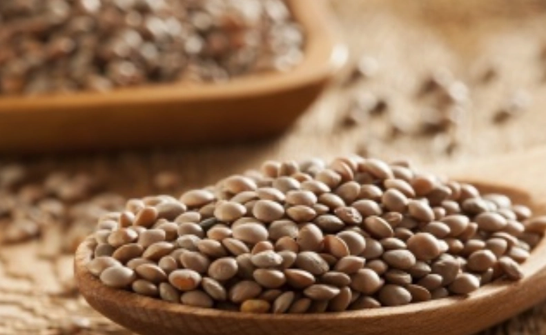 小扁豆功效 小扁豆功效