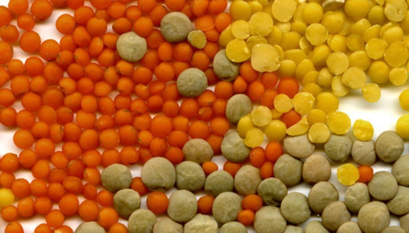 小扁豆怎麼煮 小扁豆怎麼煮