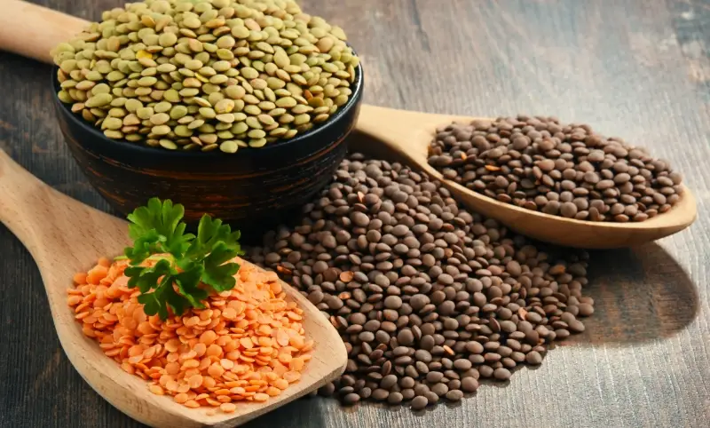 小扁豆料理 小扁豆料理