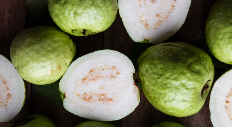 番石榴不能和什么一起吃