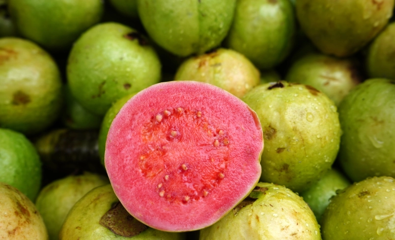 番石榴壞處 番石榴壞處