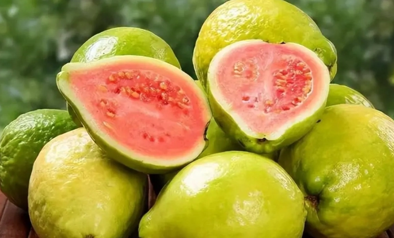 番石榴食用禁忌 番石榴食用禁忌