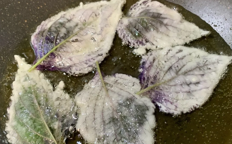 紅紫蘇葉料理