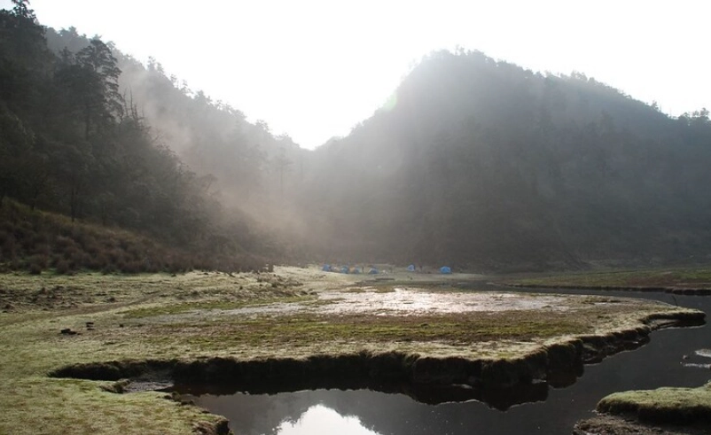 加羅湖 松蘿湖 比較 加羅湖 松蘿湖 比較
