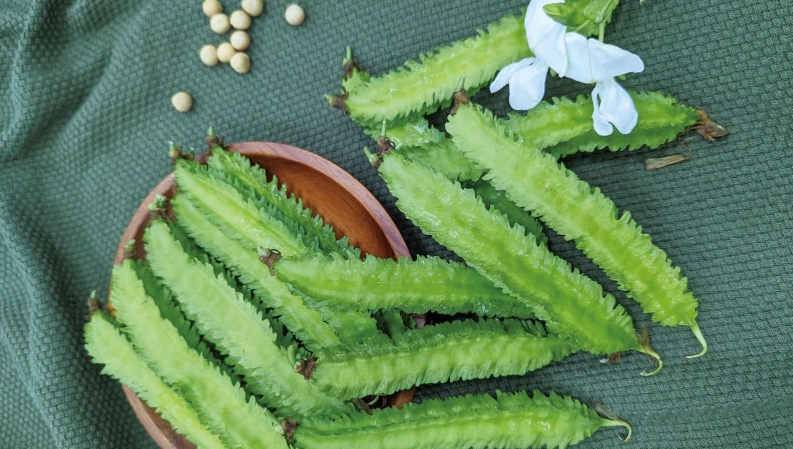 翼豆料理 翼豆料理