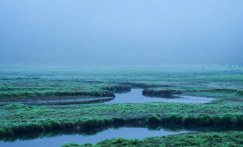 加羅湖 松蘿湖 比較 加羅湖 松蘿湖 比較