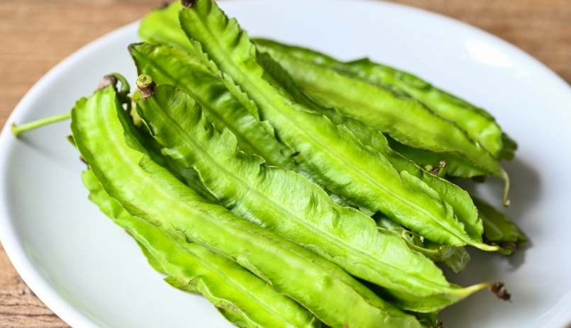 翼豆食譜 翼豆食譜