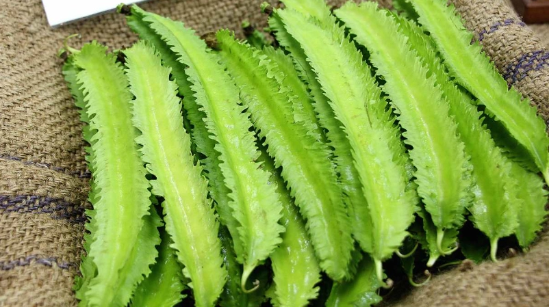 翼豆處理 翼豆處理