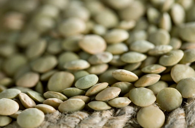 綠扁豆台灣購買 綠扁豆台灣購買