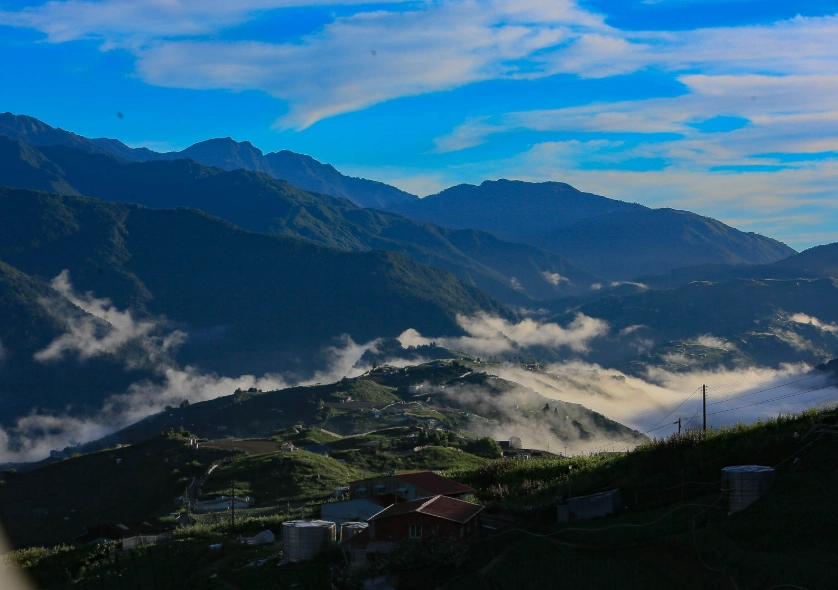 武嶺旅遊 武嶺旅遊