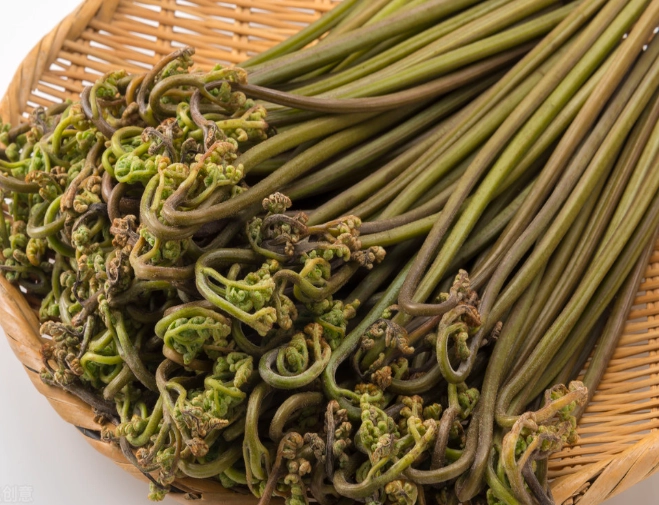 蕨菜種類 蕨菜種類