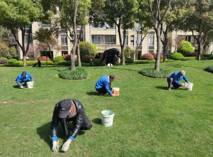 除草劑使用 除草劑使用