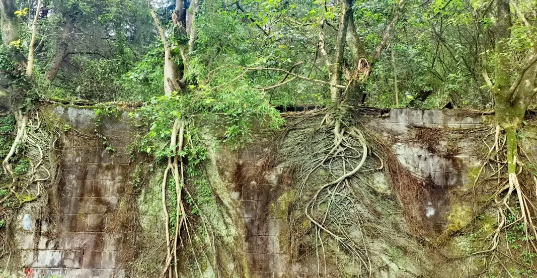 小榕根交通方式