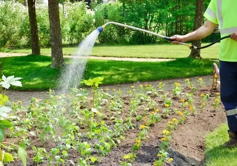 家用漂白水除草 家用漂白水除草