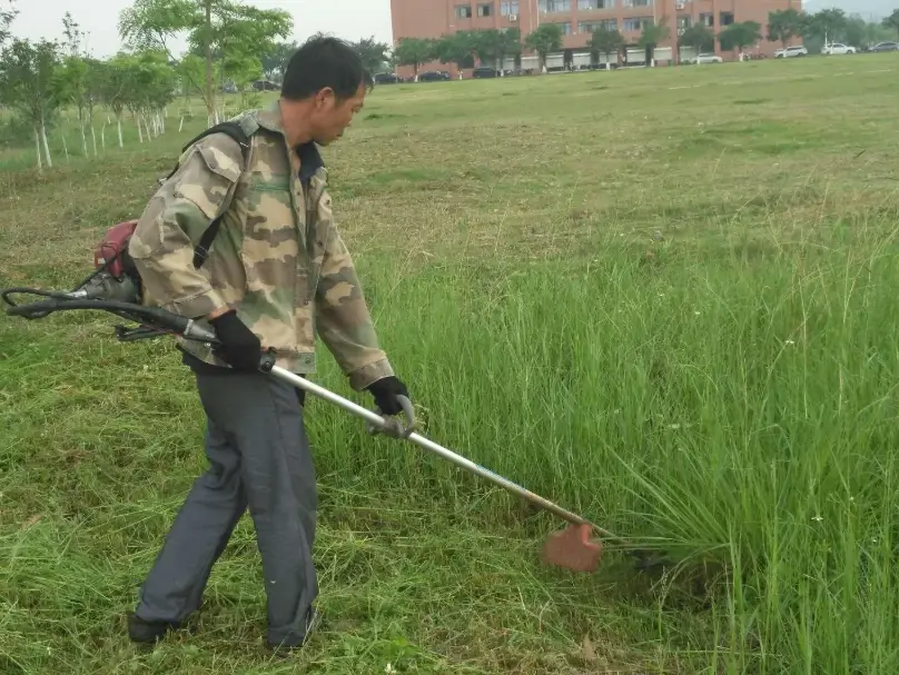 雜草防治 雜草防治