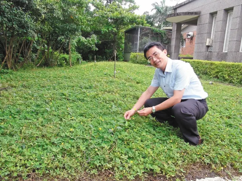 雜草抑制 雜草抑制