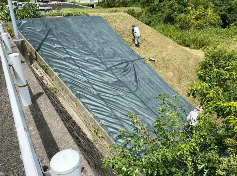 防雜草植物