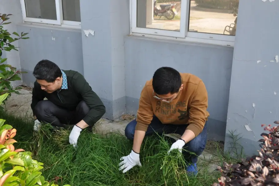 天然除雜草方法 天然除雜草方法