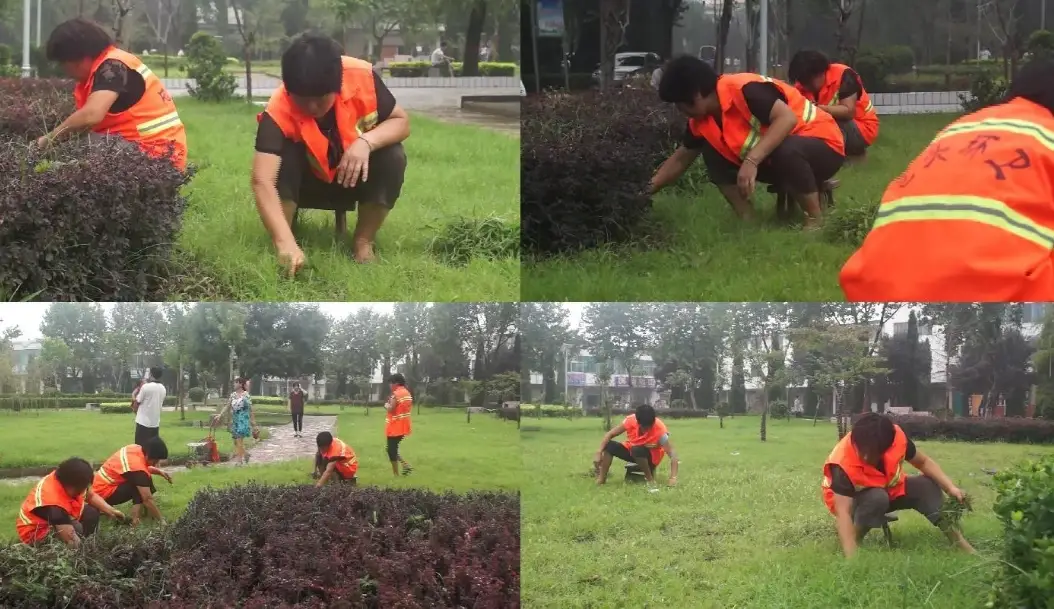 草坪除草方法 草坪除草方法