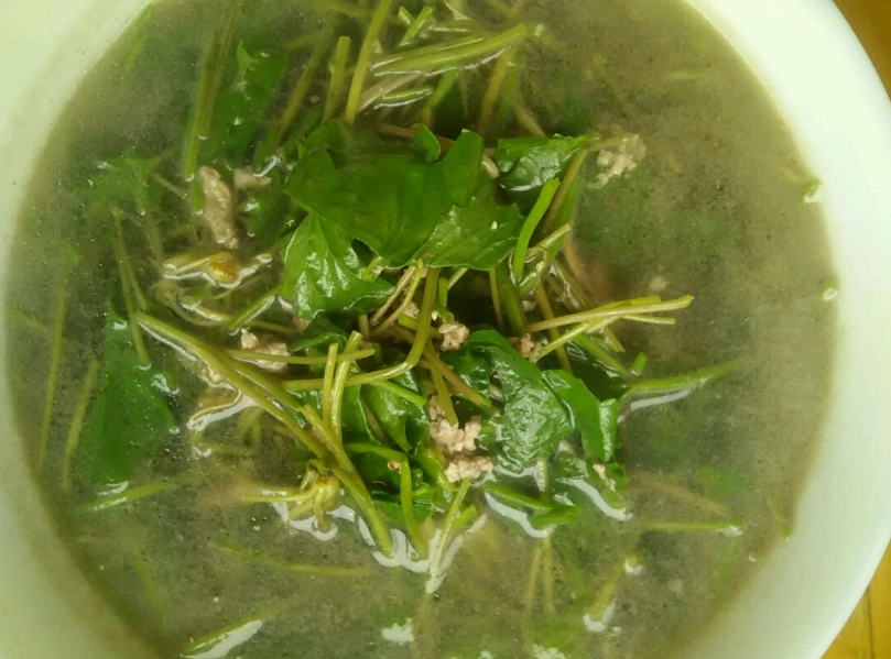 雷公根茶怎麼喝才對？台灣青草茶的功效、煮法與禁忌完整解析
